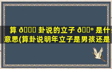 算 🐒 卦说的立子 🐺 是什么意思(算卦说明年立子是男孩还是女孩)